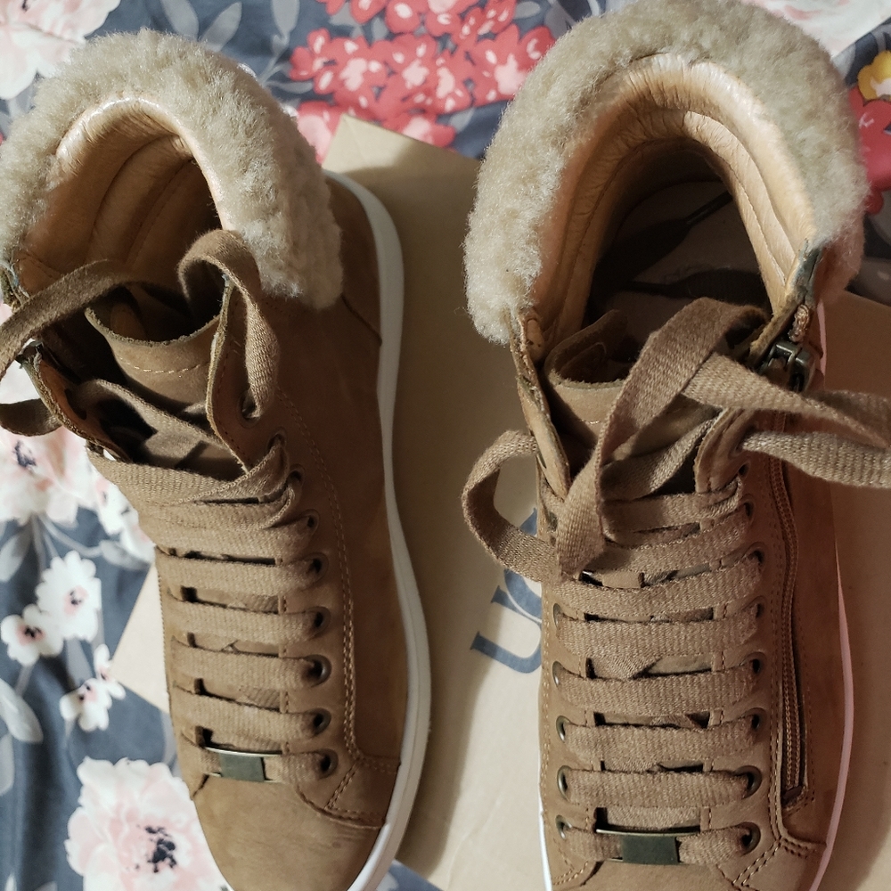 Uggs shoes